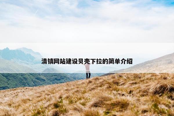 清镇网站建设贝壳下拉的简单介绍