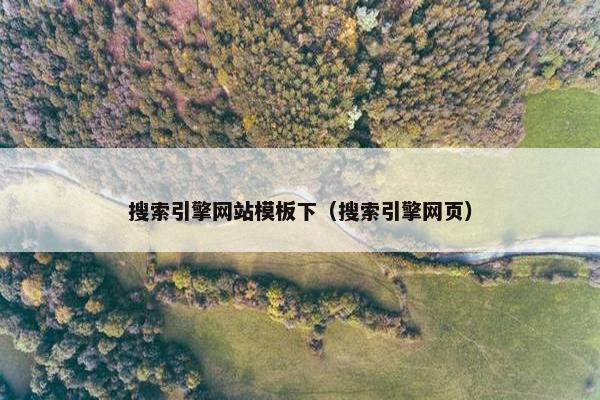 搜索引擎网站模板下（搜索引擎网页）