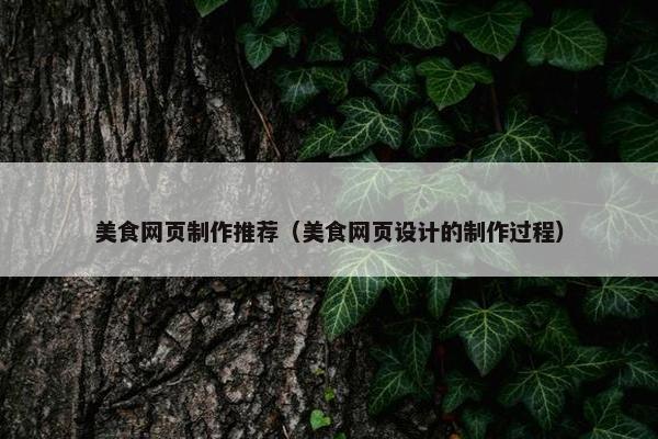 美食网页制作推荐（美食网页设计的制作过程）