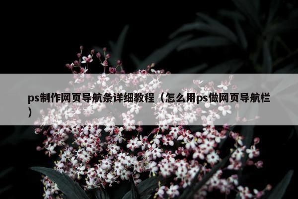 ps制作网页导航条详细教程（怎么用ps做网页导航栏）