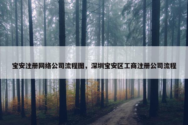 宝安注册网络公司流程图，深圳宝安区工商注册公司流程
