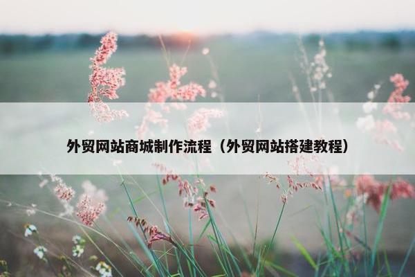 外贸网站商城制作流程（外贸网站搭建教程）