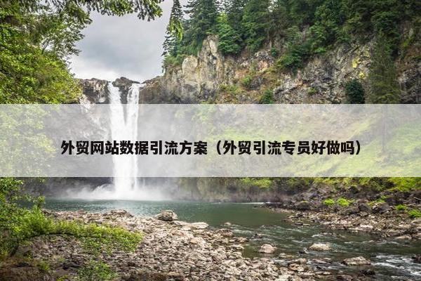 外贸网站数据引流方案（外贸引流专员好做吗）