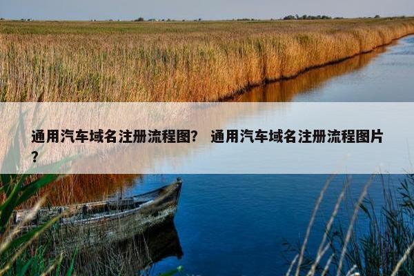 通用汽车域名注册流程图？ 通用汽车域名注册流程图片？