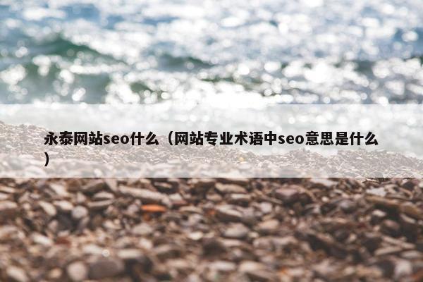 永泰网站seo什么（网站专业术语中seo意思是什么）