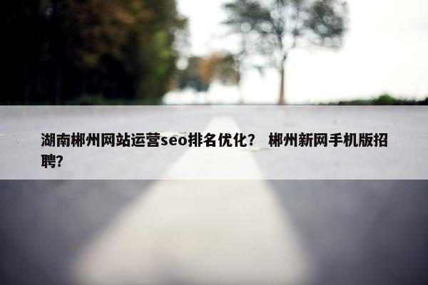 湖南郴州网站运营seo排名优化？ 郴州新网手机版招聘？