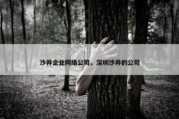 沙井企业网络公司，深圳沙井的公司