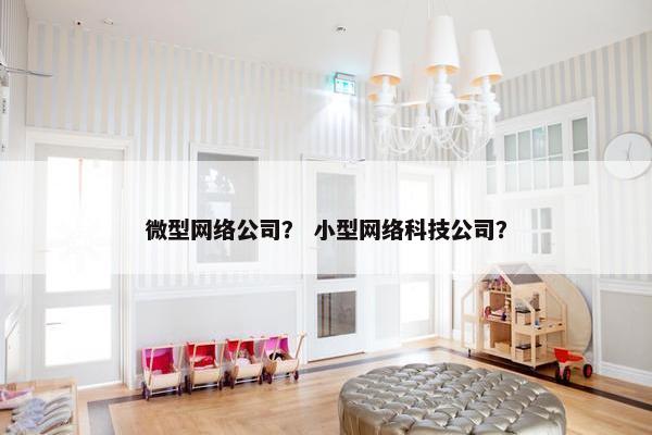 微型网络公司？ 小型网络科技公司？