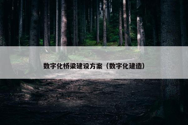 数字化桥梁建设方案（数字化建造）