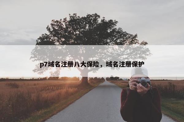 p7域名注册八大保险，域名注册保护