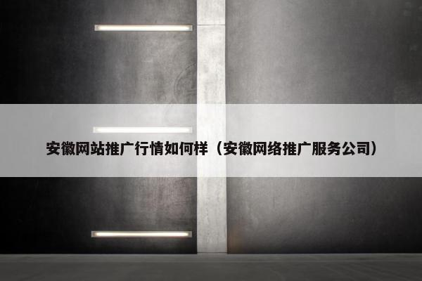 安徽网站推广行情如何样（安徽网络推广服务公司）