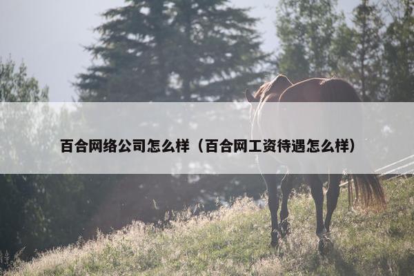 百合网络公司怎么样（百合网工资待遇怎么样）