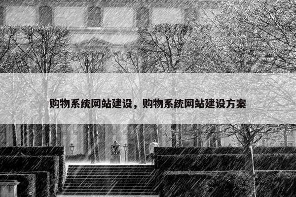 购物系统网站建设，购物系统网站建设方案