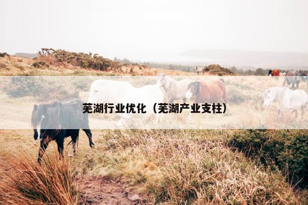 芜湖行业优化（芜湖产业支柱）