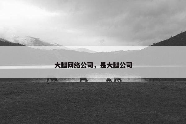 大腿网络公司，是大腿公司