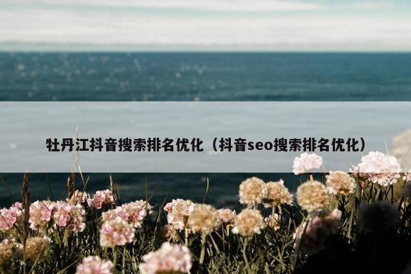 牡丹江抖音搜索排名优化（抖音seo搜索排名优化）