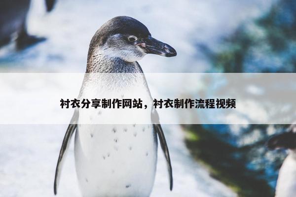 衬衣分享制作网站，衬衣制作流程视频