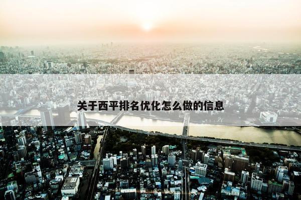 关于西平排名优化怎么做的信息