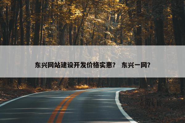 东兴网站建设开发价格实惠？ 东兴一网？