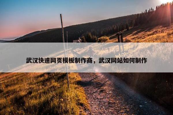 武汉快速网页模板制作商，武汉网站如何制作
