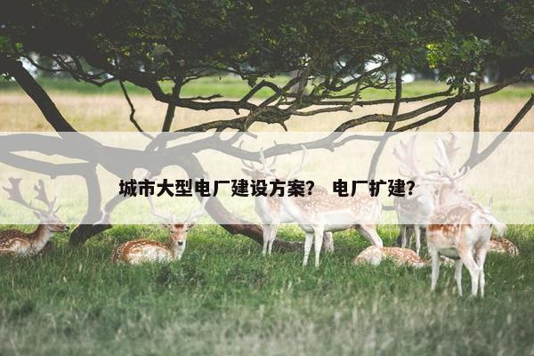 城市大型电厂建设方案？ 电厂扩建？
