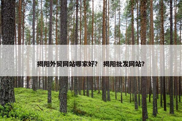 揭阳外贸网站哪家好？ 揭阳批发网站？