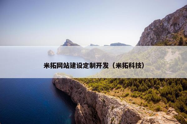 米拓网站建设定制开发（米拓科技）