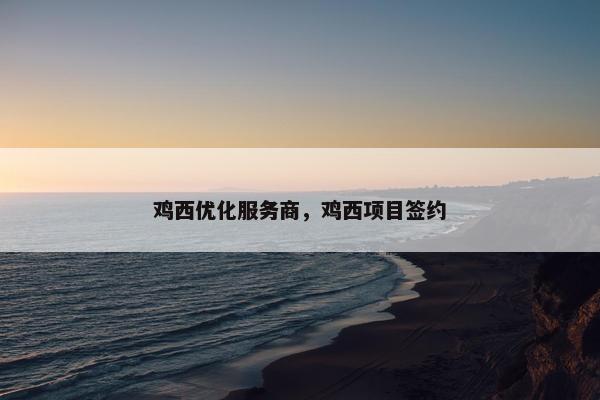 鸡西优化服务商，鸡西项目签约