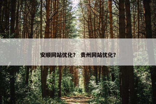 安顺网站优化？ 贵州网站优化？