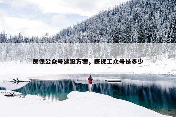 医保公众号建设方案，医保工众号是多少