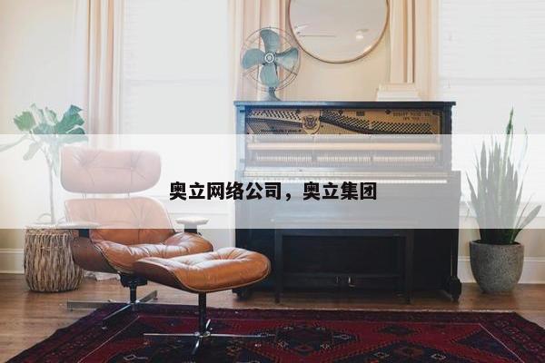 奥立网络公司，奥立集团