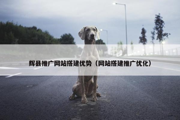 辉县推广网站搭建优势（网站搭建推广优化）