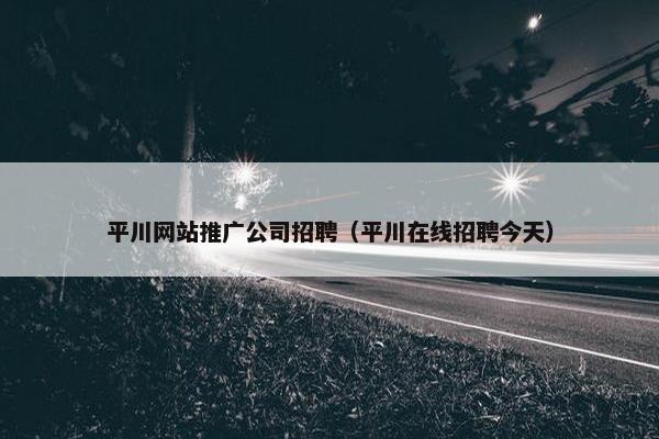 平川网站推广公司招聘（平川在线招聘今天）