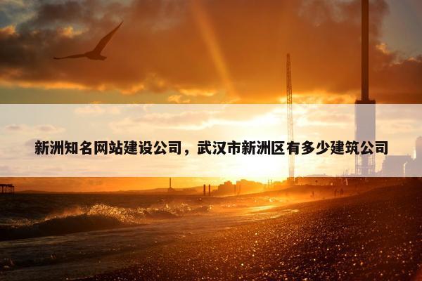 新洲知名网站建设公司，武汉市新洲区有多少建筑公司